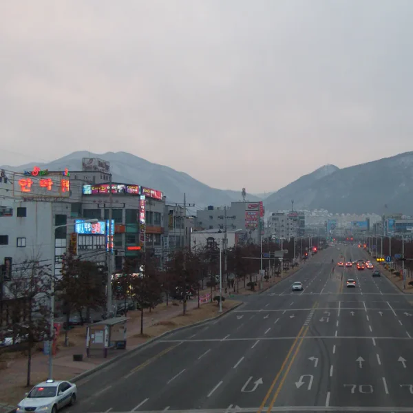 포레스트 아델아지트 테라피 안내 이미지