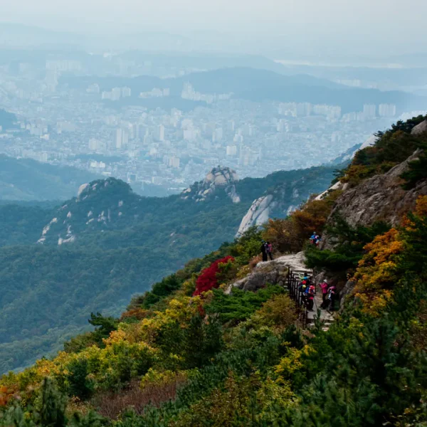 힐링 아델살롱 테라피 안내 이미지